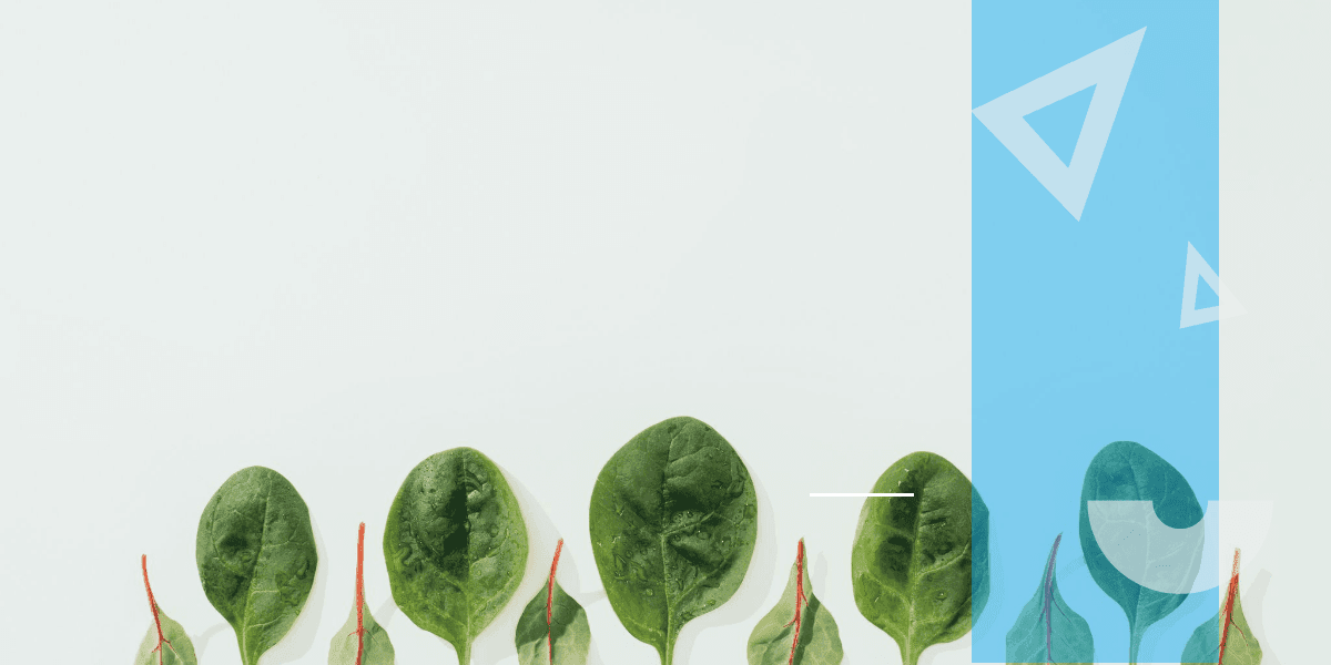 Eco-Friendly Auto Wrecking